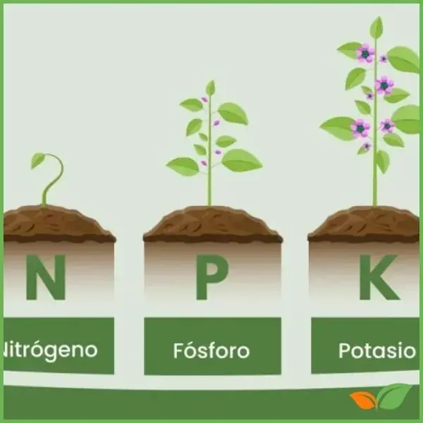 Descodificando las etiquetas: ¿Qué significan los números NPK en los fertilizantes?